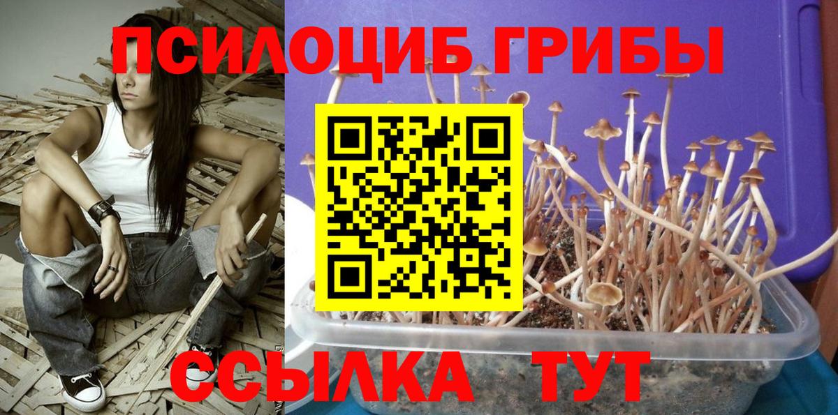 Галлюциногенные грибы мицелий Карталы